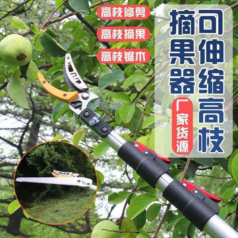 高TTH空果采高摘枝剪果树摘粗枝摘剪荔园林枝龙眼槐花桂圆包邮跨