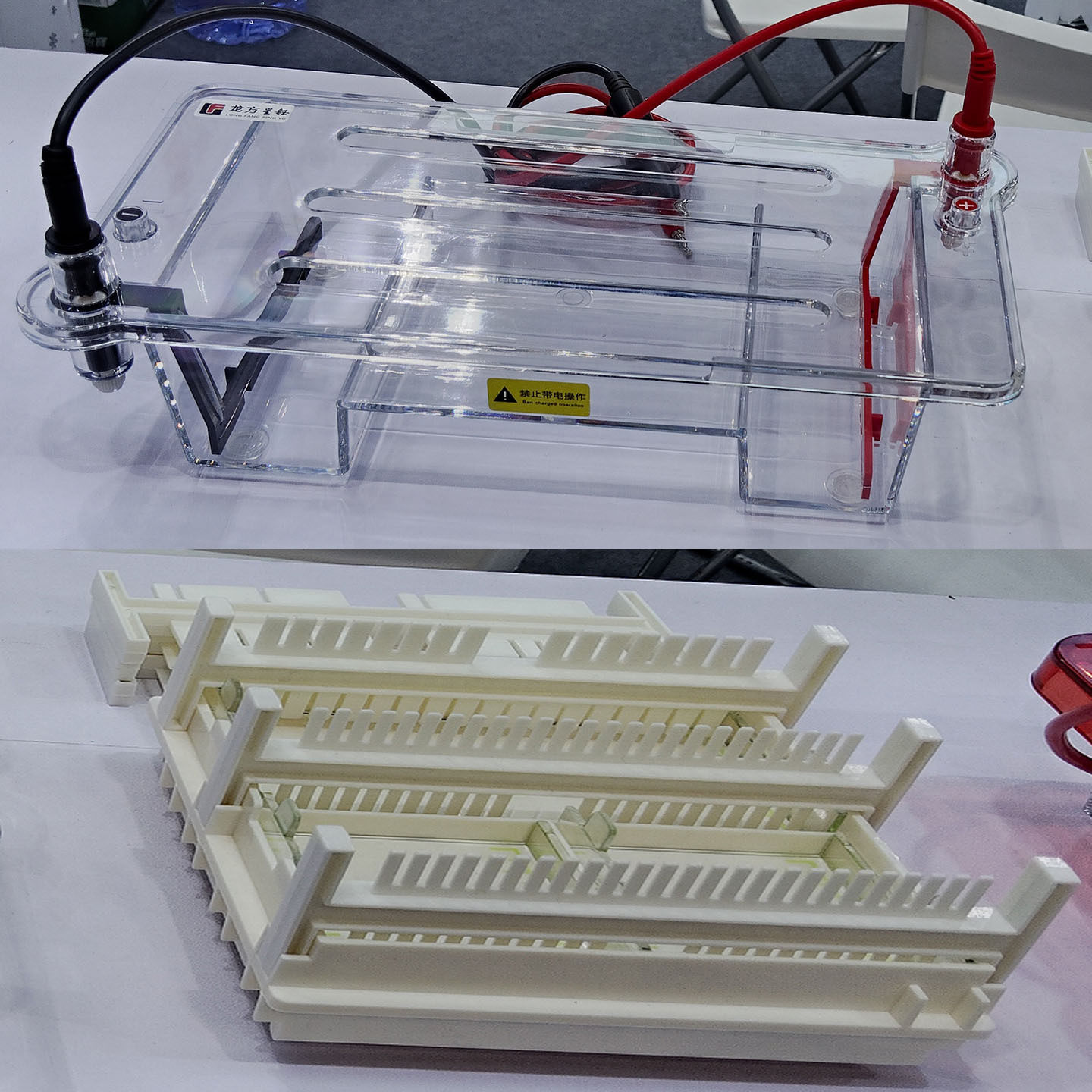 龙方星钰LF-31DN水平琼脂糖电泳槽适用于分离制备DNA RNA