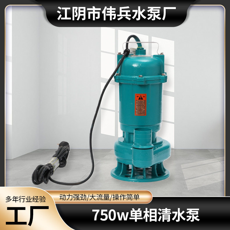 750W单相清水泵抽水灌溉排污