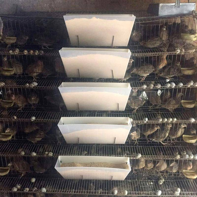 阶梯成套自动动料槽立式成套自鹌鹑WY料直槽式(销)