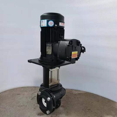 惠沃德涂装设备液下泵立铸铁工业流程水循离环心泵0WDX85UTX-式10