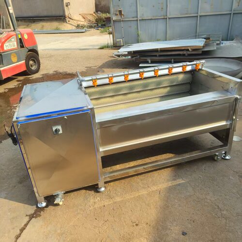 毛辊清洗机厂家 根茎类胡萝卜芋头葛根毛刷清洗机 海螺清洗机