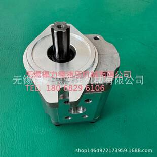 BT-F20-AFHCCT-F423-AFH4CBT-F425-ALNAFHCBBT-F430-AFH齿轮油泵