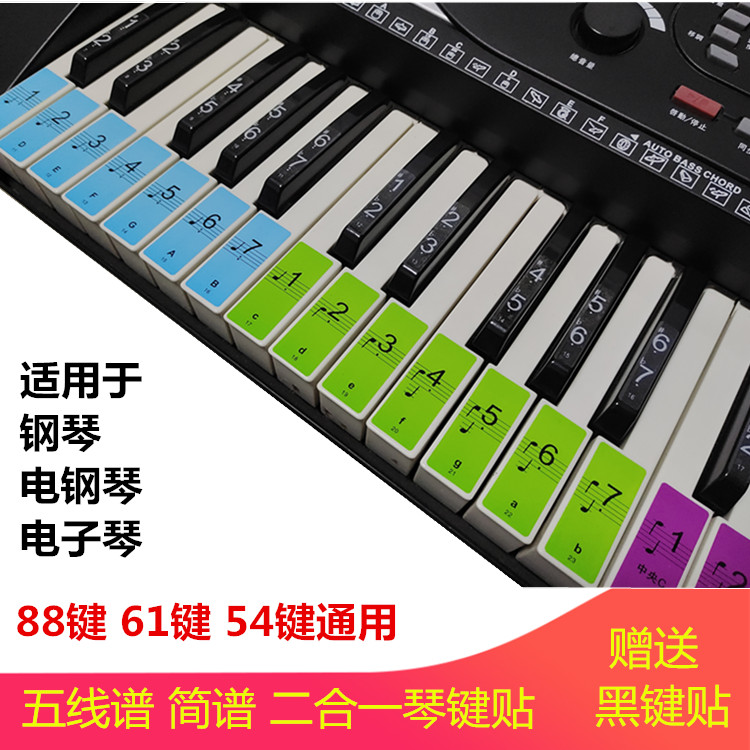 速发钢琴贴88键61键电子琴手卷钢琴键贴谱简五线谱琴键键位音标贴