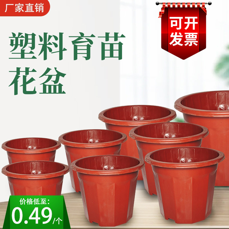 速发塑料花加盆厚耐用大小号自吸育苗盆植用种家花盆