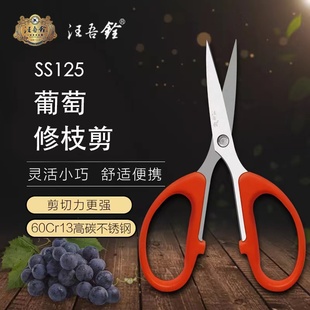 速发汪剪铨剪剪疏果剪梳果神器小剪刀学生手工剪纸刀线头尖头吾葡