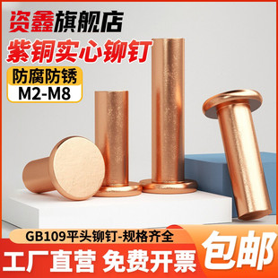 柳钉2.5M4M5M6M8 速发紫铜平头实心铆钉GB10平帽铜钉手打敲击式