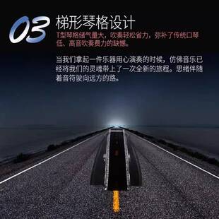 天鹅24孔复音口琴高端送礼初学者成人入门重音专业演奏级