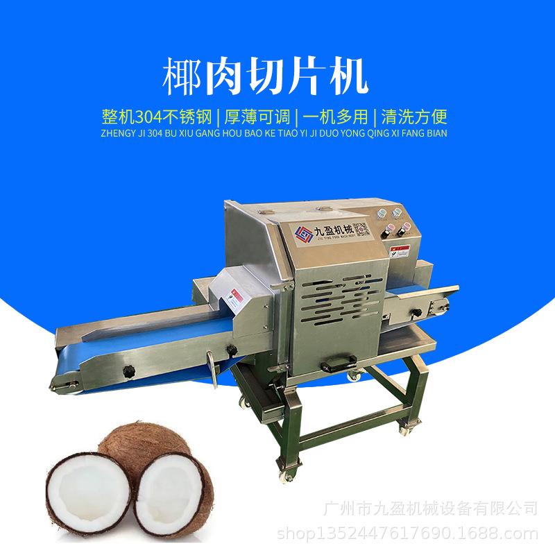 海南椰子肉切丝切片机TJ-304D皮带式双刀肉苁蓉切片机灵芝切片机