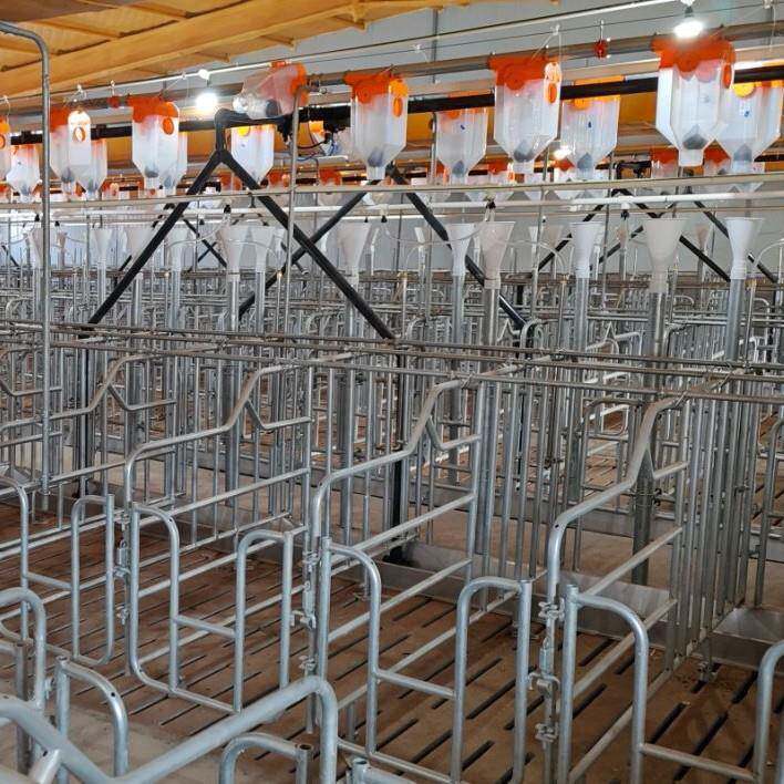 便捷安装猪场单体栏限位栏养殖业高效构建空间耐腐蚀易维护