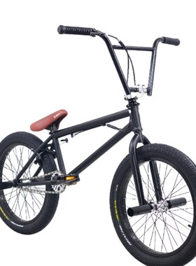 BMX小轮车20寸表演车特技动作极限单车自行车铬钼钢1U20响花鼓包