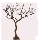 干树枝装 饰树插花造型客厅创意z许愿树拍摄落地摆件枯树杆道具造