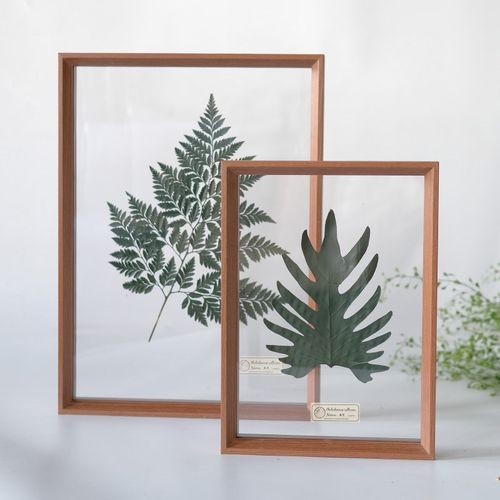 植物标本框空气透明双面玻璃相框装饰画摆件押花R中式简约现代花