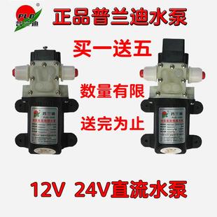 小型增压电动普兰迪直流微型水泵隔膜泵自吸泵12V24V小水泵抽水泵