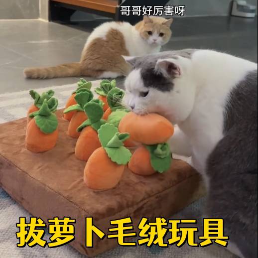猫咪兔子拔萝卜毛绒玩具宠物