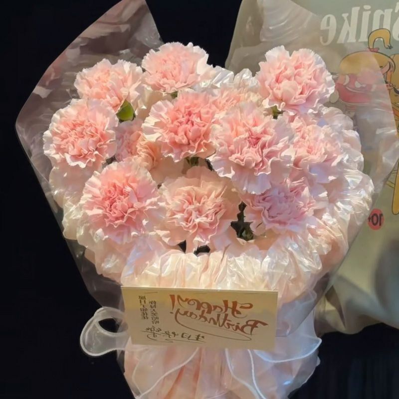 速发母亲节礼物闺品永师康乃馨香皂花束生日礼物送妈妈老生友成蜜