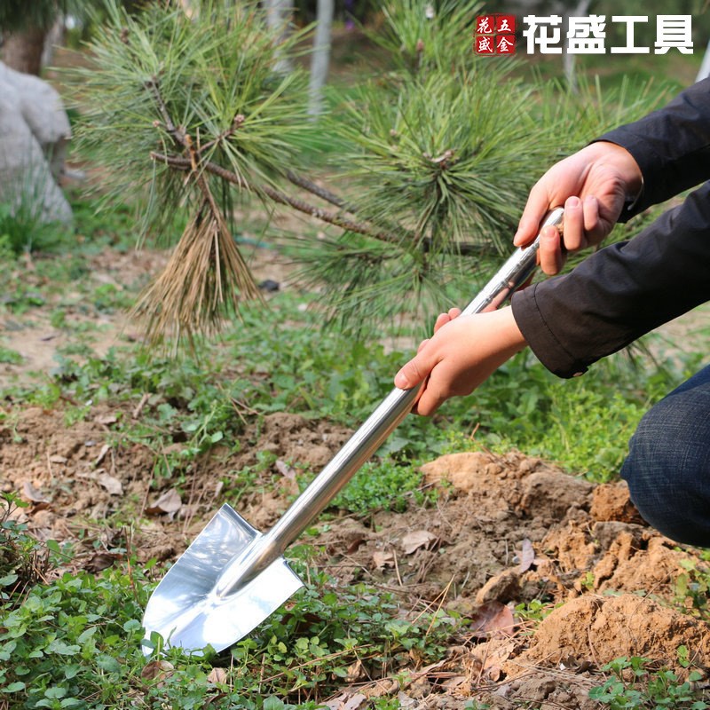 速发不锈小园艺铲现功能园林铲户外农用尖头钢铁锹挖树锹松土工具