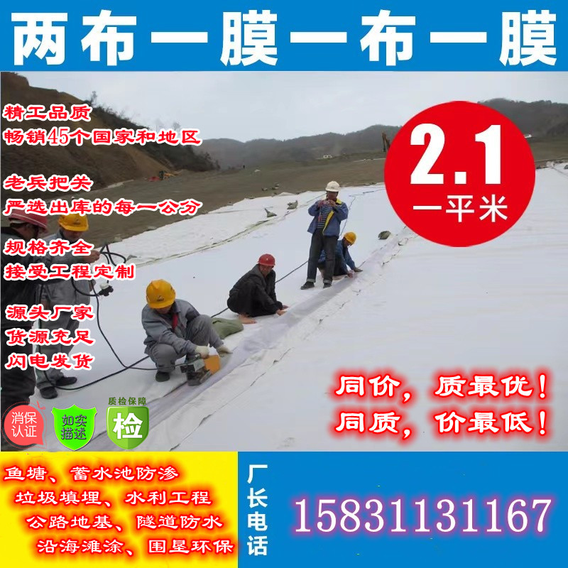 速发防渗土池膜垃圾填埋场专用防渗膜两布一膜蓄水工池藕鱼塘膜抗