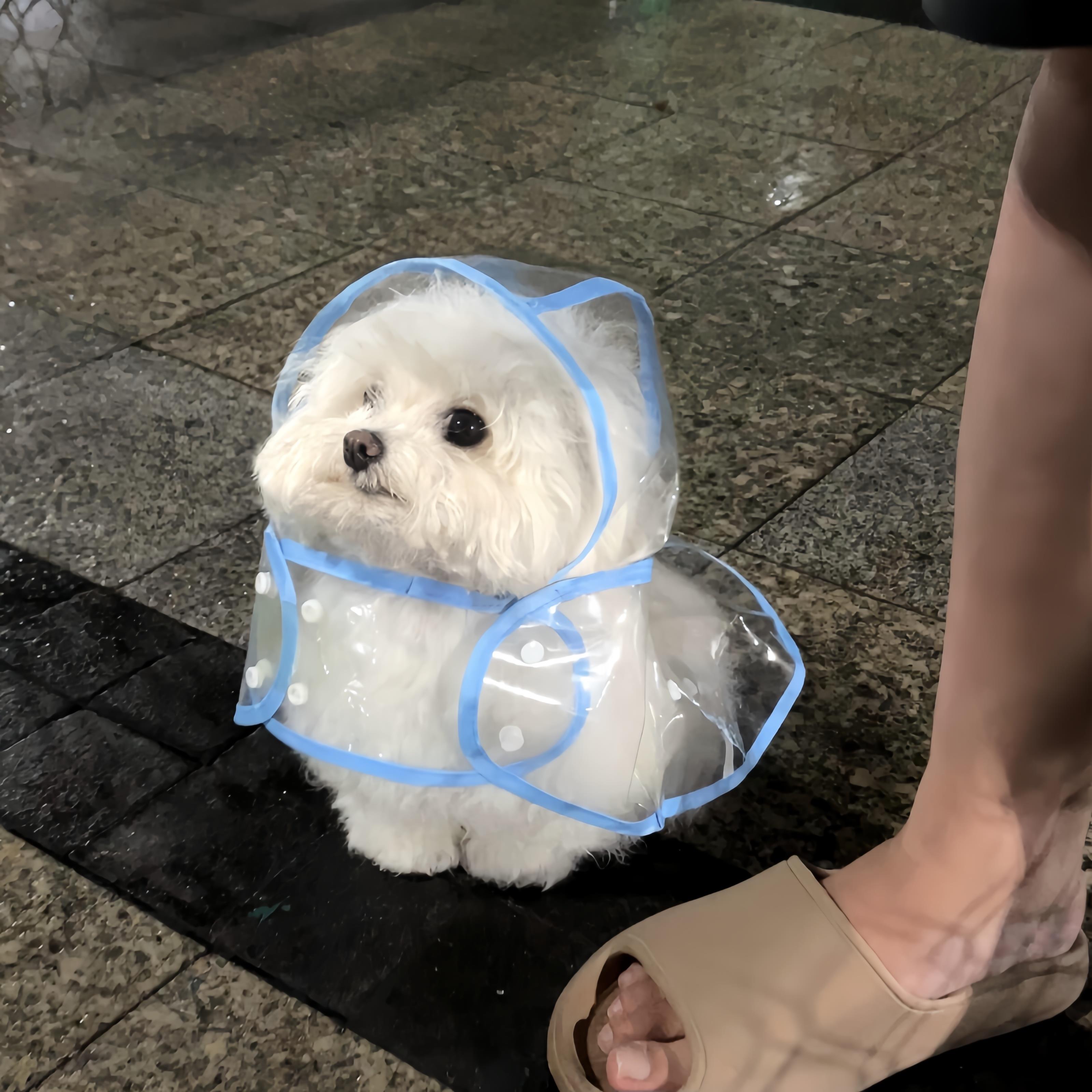 狗狗雨衣泰迪中小型犬新