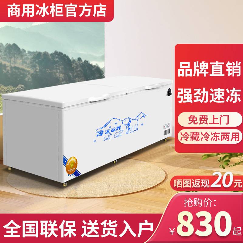 冰柜商用大容量卧式冰箱家用冷藏冷冻保鲜双温冷柜展示冷柜冰箱雪