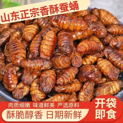 山东特产香酥蚕蛹五香即食麻辣高蛋白肉类干货调味下酒菜熟食神器