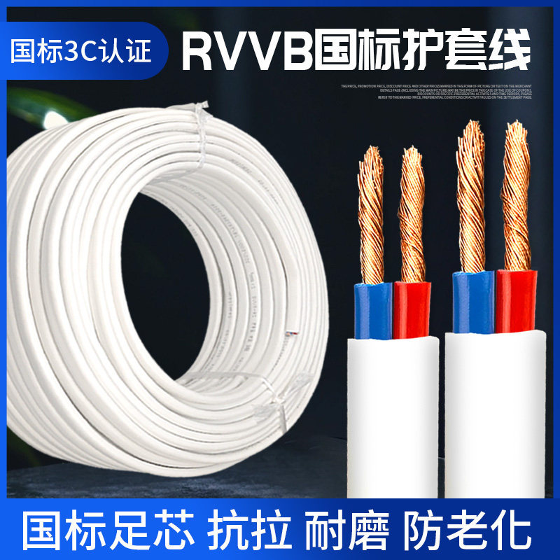 国标RVVB2芯白色护套线