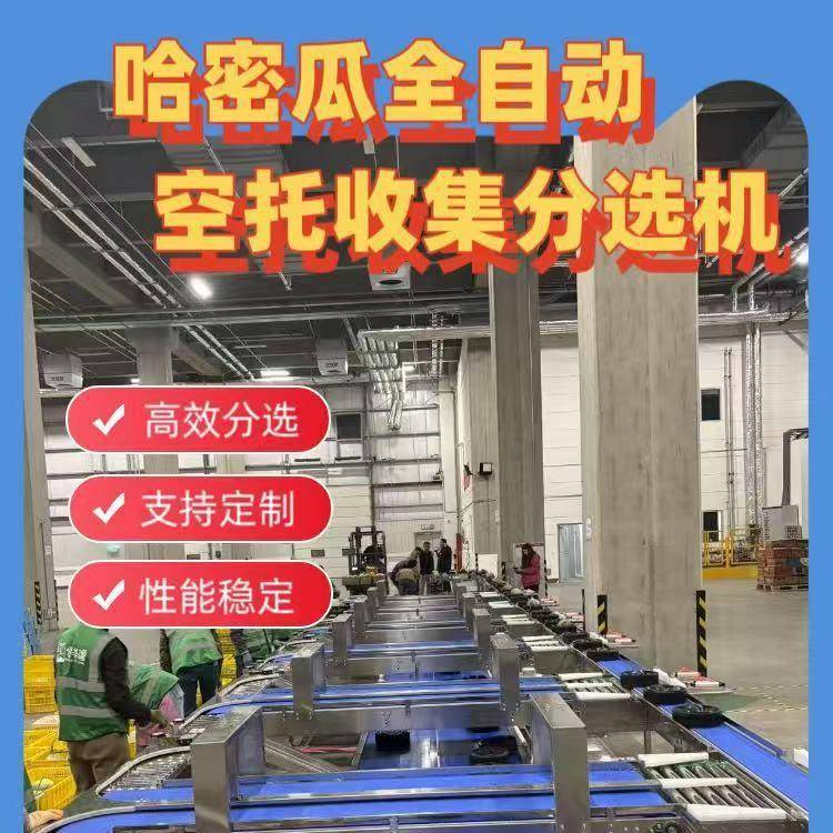 哈密瓜全自动空托收集分选机西瓜密瓜重量分选机多功能分拣机