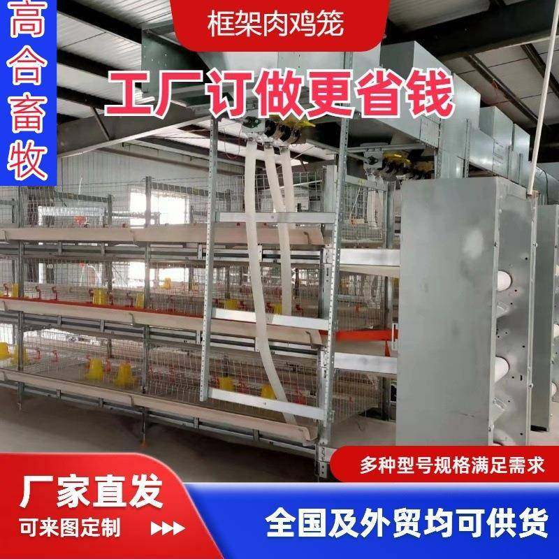 全自动框架肉鸡笼半自动立体鸡舍镀锌自动除粪养殖养鸡外贸,畜牧/养殖物资,特种养殖设备,淘宝优惠券,粉丝福利购,淘宝优惠卷