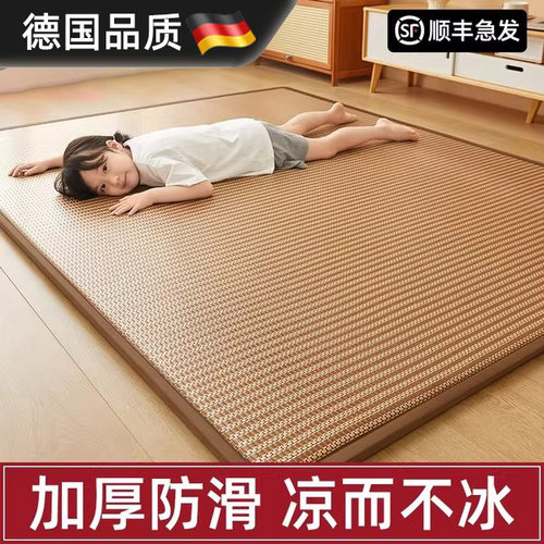 德国进口冰丝凉席地垫加厚床垫