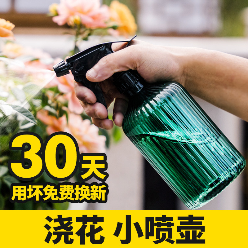 家用植物洒水小喷壶喷水壶小型水壶喷花养花喷雾浇花花洒浇水神器