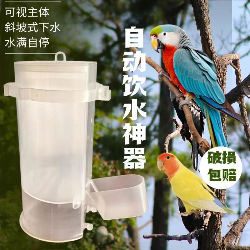 新款鸟用饮水器鸽子八哥鹦鹉自动喂水壶鸽子用用具芦丁鸡喂水杯