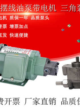 TOP-12A/13A齿轮油泵电机ROP11A三角摆线泵380V机床车床润滑220V