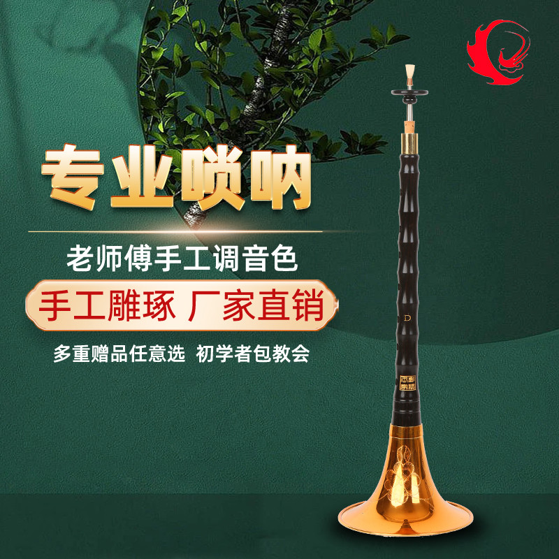 王家彪专业乌木黑檀木唢呐乐器初学者全套民族乐器喇叭d调小号