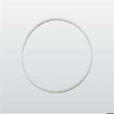 议~密封(PTFE）4N5289