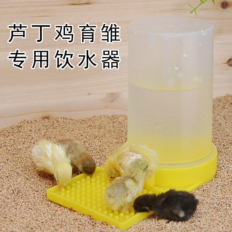芦丁鸡饮水器喂食器育雏幼鸡水壶喂水喝水神器自动卢丁鸡食盒饲料