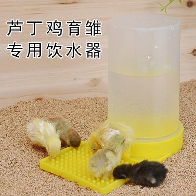 芦丁鸡饮水器喂食器育雏幼鸡水壶喂水喝水神器自动卢丁鸡食盒饲料