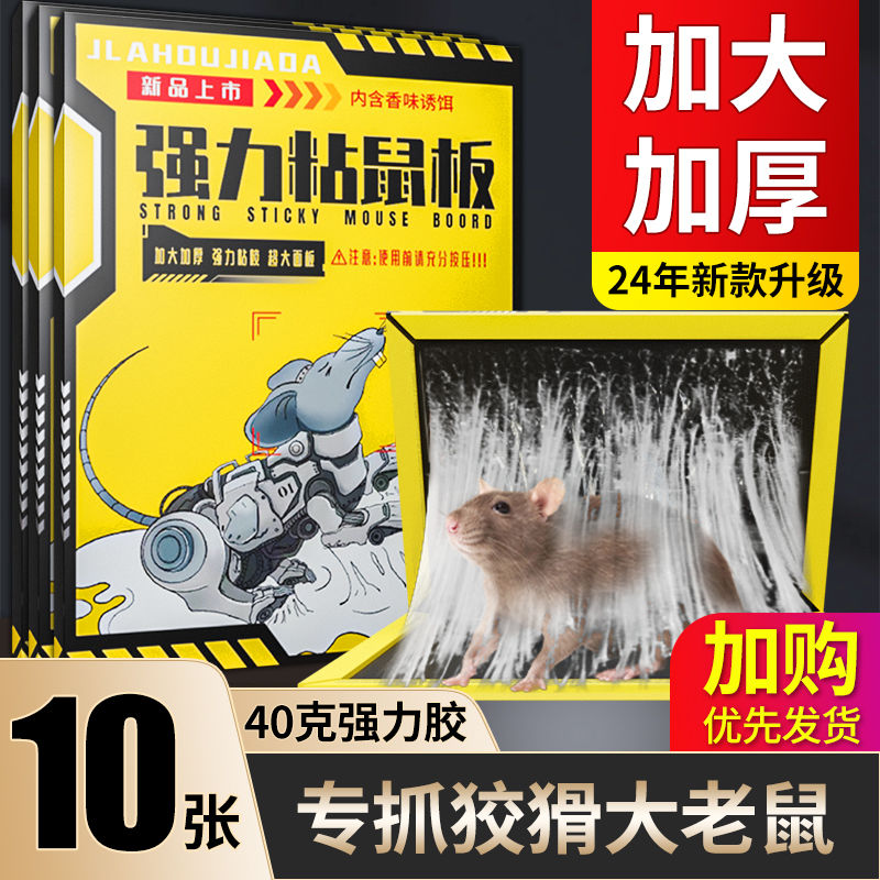 老鼠粘强力粘鼠板胶粘大老鼠贴超强家用室内黏沾捕鼠器神器捉扑