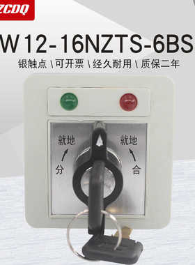 LW12-16NZTS-6BSC LW21万能转换开关带灯带钥匙配电柜分合闸远方
