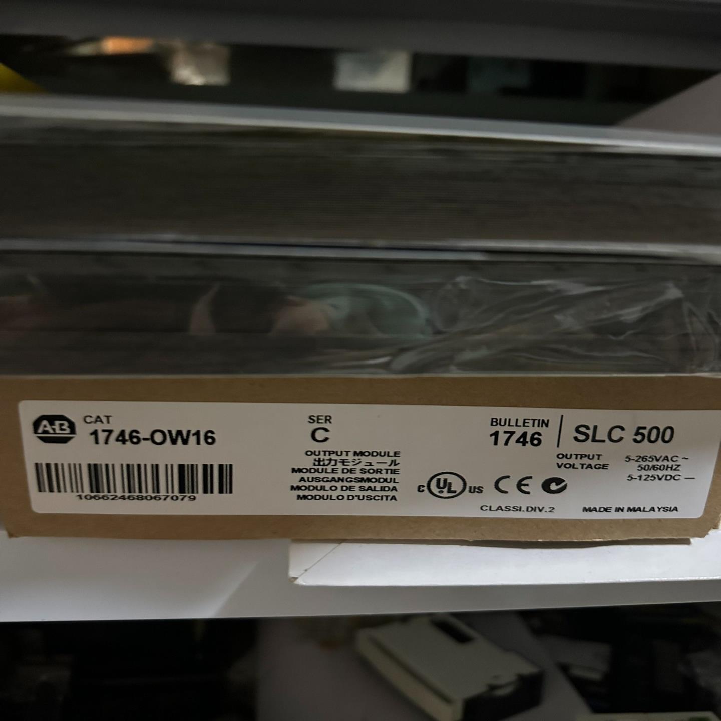 1746-OW16(崽崽配件）