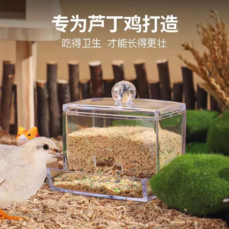 芦丁鸡自动喂食器饲料盒小鸡食盒水壶喂水台饮水器卢丁鸡宠物用