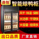 劲恒晾鸭柜商用烤鸭风干柜晾胚柜烧鸭烤鸡烧鹅风干机烘干除湿保鲜