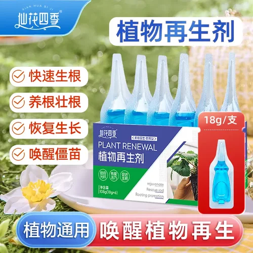 仙花四季植物再生剂快速生根养根