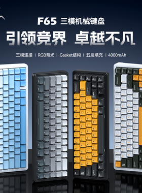 狼蛛F65无线RGB客制化键盘三模GASKET结构蓝牙电竞游戏办公笔记本