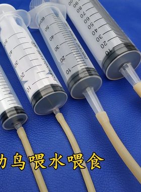幼鸽喂食器人工灌喂器手养鹦鹉鸽鸟喂水幼鸟喂食器推喂水器新生鸟