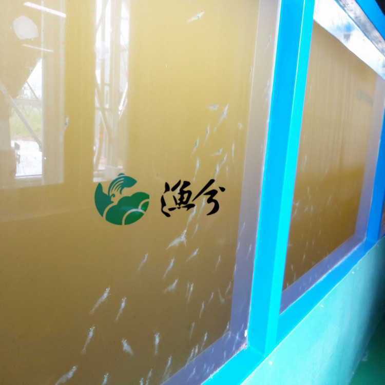 实验室循环水养虾系统、小型养虾实验系统、斑节对虾养殖系统