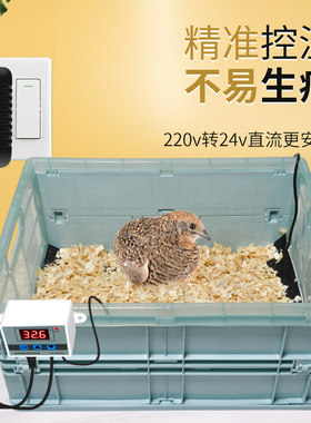 鹦鹉保温箱雏鸟幼鸟孵化手养鸟保温盒保暖箱小中大型恒温育雏用品