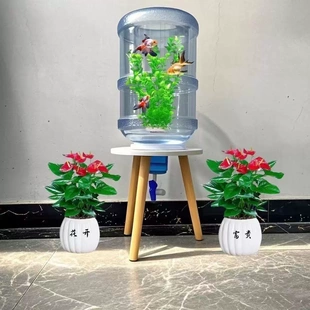 矿泉水桶改鱼缸家用养鱼神器客厅小型生态瓶矿泉水桶创意鱼缸纯净
