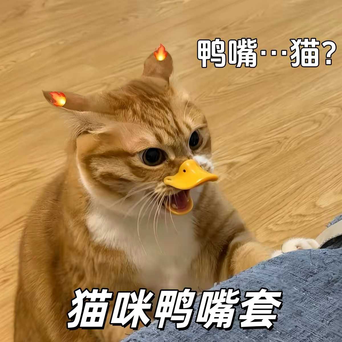猫咪鸭嘴套创意可爱搞怪宠物装扮