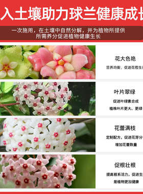 球兰专用肥花肥缓释肥爆黄叶有机肥花肥兰肥心颗粒花肥叶球盆栽催