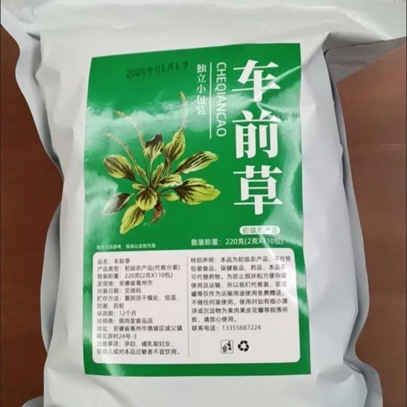 车前草泡茶车前草干货车前草泡水喝材正宗新鲜整棵养生茶包